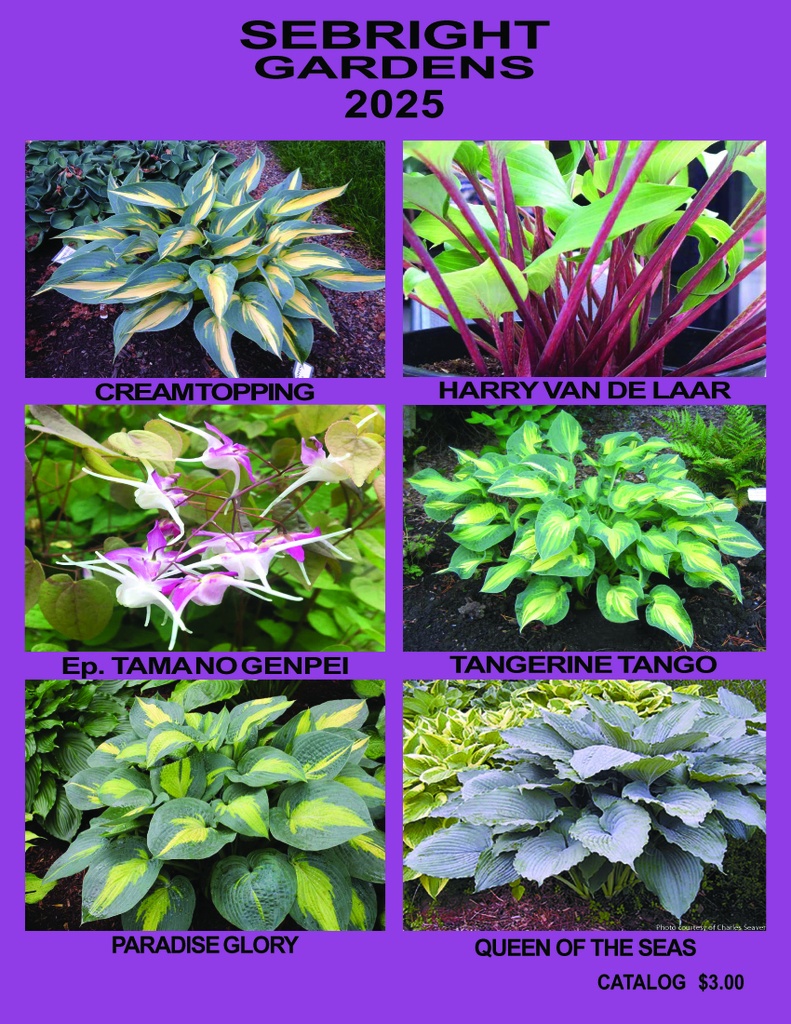 2026 Catalog ~ Canada