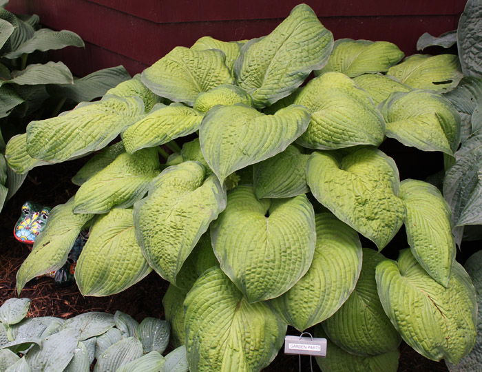 GARDEN PARTY Sebright Gardens